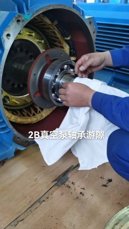2B真空泵轴承游隙