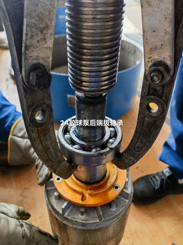 2A胶球泵后端拔轴承