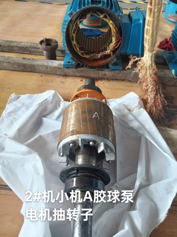 2#机小机A胶球泵电机抽转子