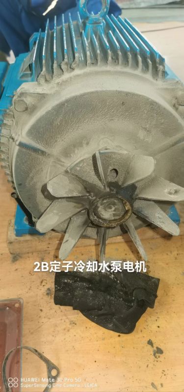 2B定子冷却水泵电机