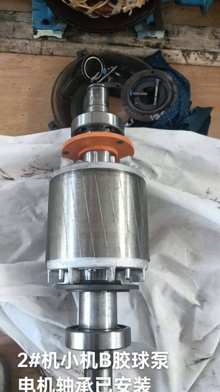 2#机小机B胶球泵电机轴承已安装