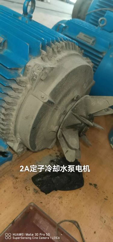 2A定子冷却水泵电机
